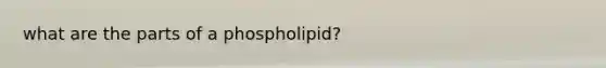 what are the parts of a phospholipid?