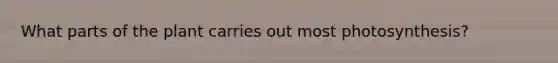 What parts of the plant carries out most photosynthesis?