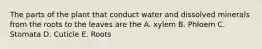 The parts of the plant that conduct water and dissolved minerals from the roots to the leaves are the A. xylem B. Phloem C. Stomata D. Cuticle E. Roots