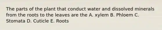 The parts of the plant that conduct water and dissolved minerals from the roots to the leaves are the A. xylem B. Phloem C. Stomata D. Cuticle E. Roots