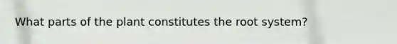 What parts of the plant constitutes the root system?