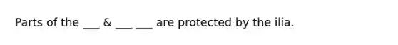 Parts of the ___ & ___ ___ are protected by the ilia.