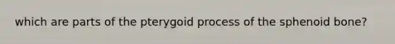 which are parts of the pterygoid process of the sphenoid bone?