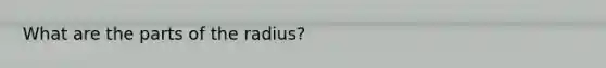 What are the parts of the radius?