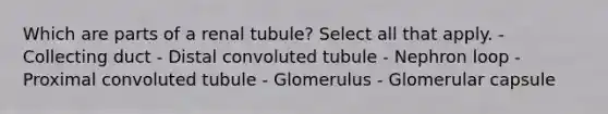 Which are parts of a renal tubule? Select all that apply. - Collecting duct - Distal convoluted tubule - Nephron loop - Proximal convoluted tubule - Glomerulus - Glomerular capsule