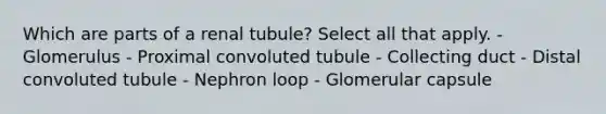 Which are parts of a renal tubule? Select all that apply. - Glomerulus - Proximal convoluted tubule - Collecting duct - Distal convoluted tubule - Nephron loop - Glomerular capsule