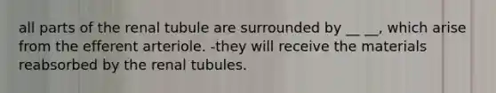 all parts of the renal tubule are surrounded by __ __, which arise from the efferent arteriole. -they will receive the materials reabsorbed by the renal tubules.