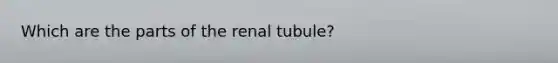 Which are the parts of the renal tubule?