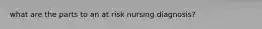 what are the parts to an at risk nursing diagnosis?