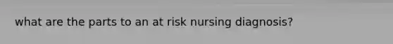 what are the parts to an at risk nursing diagnosis?