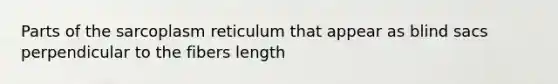 Parts of the sarcoplasm reticulum that appear as blind sacs perpendicular to the fibers length