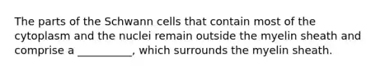 The parts of the Schwann cells that contain most of the cytoplasm and the nuclei remain outside the myelin sheath and comprise a __________, which surrounds the myelin sheath.