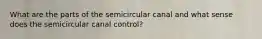 What are the parts of the semicircular canal and what sense does the semicircular canal control?