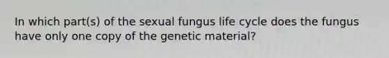 In which part(s) of the sexual fungus life cycle does the fungus have only one copy of the genetic material?