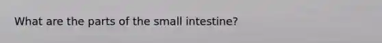 What are the parts of the small intestine?