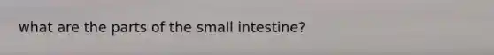 what are the parts of the small intestine?