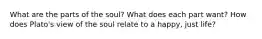 What are the parts of the soul? What does each part want? How does Plato's view of the soul relate to a happy, just life?