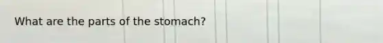 What are the parts of <a href='https://www.questionai.com/knowledge/kLccSGjkt8-the-stomach' class='anchor-knowledge'>the stomach</a>?