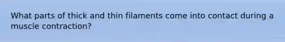 What parts of thick and thin filaments come into contact during a muscle contraction?