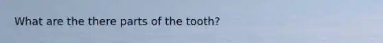 What are the there parts of the tooth?