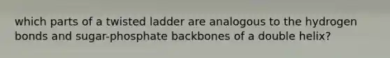 which parts of a twisted ladder are analogous to the hydrogen bonds and sugar-phosphate backbones of a double helix?