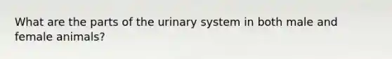 What are the parts of the urinary system in both male and female animals?