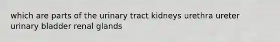 which are parts of the urinary tract kidneys urethra ureter <a href='https://www.questionai.com/knowledge/kb9SdfFdD9-urinary-bladder' class='anchor-knowledge'>urinary bladder</a> renal glands