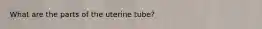 What are the parts of the uterine tube?
