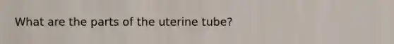 What are the parts of the uterine tube?