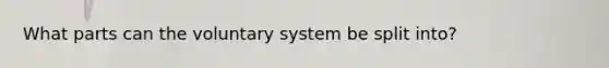 What parts can the voluntary system be split into?