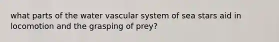 what parts of the water vascular system of sea stars aid in locomotion and the grasping of prey?