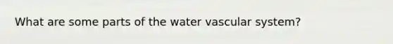 What are some parts of the water vascular system?