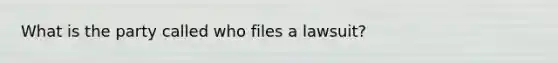 What is the party called who files a lawsuit?