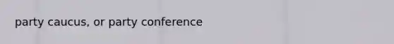 party caucus, or party conference