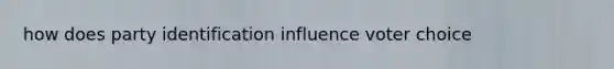 how does party identification influence voter choice