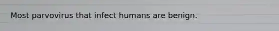 Most parvovirus that infect humans are benign.