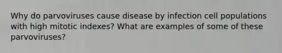 Why do parvoviruses cause disease by infection cell populations with high mitotic indexes? What are examples of some of these parvoviruses?