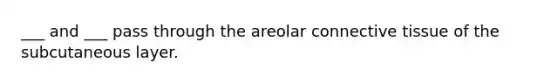 ___ and ___ pass through the areolar connective tissue of the subcutaneous layer.