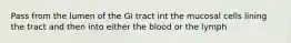 Pass from the lumen of the GI tract int the mucosal cells lining the tract and then into either the blood or the lymph