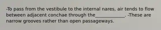 -To pass from the vestibule to the internal nares, air tends to flow between adjacent conchae through the_____________. -These are narrow grooves rather than open passageways.