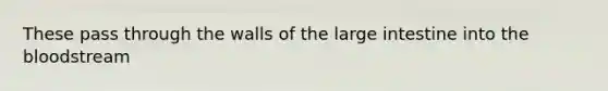 These pass through the walls of the large intestine into the bloodstream