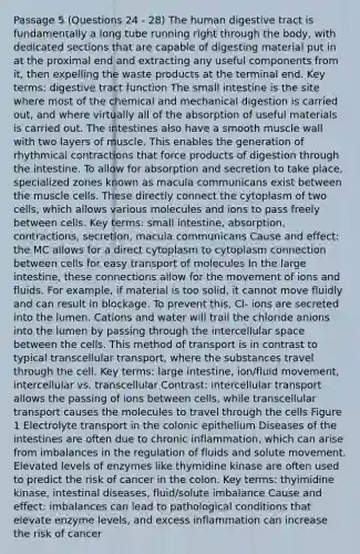 Passage 5 (Questions 24 - 28) The human digestive tract is fundamentally a long tube running right through the body, with dedicated sections that are capable of digesting material put in at the proximal end and extracting any useful components from it, then expelling the waste products at the terminal end. Key terms: digestive tract function The small intestine is the site where most of the chemical and mechanical digestion is carried out, and where virtually all of the absorption of useful materials is carried out. The intestines also have a smooth muscle wall with two layers of muscle. This enables the generation of rhythmical contractions that force products of digestion through the intestine. To allow for absorption and secretion to take place, specialized zones known as macula communicans exist between the muscle cells. These directly connect the cytoplasm of two cells, which allows various molecules and ions to pass freely between cells. Key terms: small intestine, absorption, contractions, secretion, macula communicans Cause and effect: the MC allows for a direct cytoplasm to cytoplasm connection between cells for easy transport of molecules In the large intestine, these connections allow for the movement of ions and fluids. For example, if material is too solid, it cannot move fluidly and can result in blockage. To prevent this, Cl- ions are secreted into the lumen. Cations and water will trail the chloride anions into the lumen by passing through the intercellular space between the cells. This method of transport is in contrast to typical transcellular transport, where the substances travel through the cell. Key terms: large intestine, ion/fluid movement, intercellular vs. transcellular Contrast: intercellular transport allows the passing of ions between cells, while transcellular transport causes the molecules to travel through the cells Figure 1 Electrolyte transport in the colonic epithelium Diseases of the intestines are often due to chronic inflammation, which can arise from imbalances in the regulation of fluids and solute movement. Elevated levels of enzymes like thymidine kinase are often used to predict the risk of cancer in the colon. Key terms: thyimidine kinase, intestinal diseases, fluid/solute imbalance Cause and effect: imbalances can lead to pathological conditions that elevate enzyme levels, and excess inflammation can increase the risk of cancer