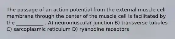 The passage of an action potential from the external muscle cell membrane through the center of the muscle cell is facilitated by the ___________ . A) neuromuscular junction B) transverse tubules C) sarcoplasmic reticulum D) ryanodine receptors