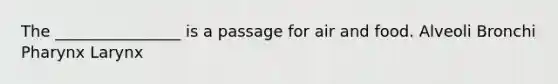 The ________________ is a passage for air and food. Alveoli Bronchi Pharynx Larynx