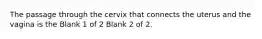 The passage through the cervix that connects the uterus and the vagina is the Blank 1 of 2 Blank 2 of 2.