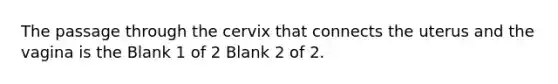 The passage through the cervix that connects the uterus and the vagina is the Blank 1 of 2 Blank 2 of 2.