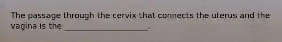 The passage through the cervix that connects the uterus and the vagina is the _____________________.