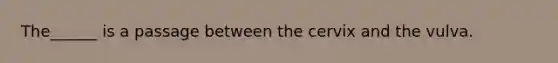 The______ is a passage between the cervix and the vulva.