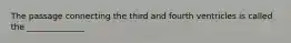 The passage connecting the third and fourth ventricles is called the ______________