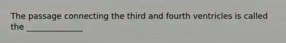 The passage connecting the third and fourth ventricles is called the ______________